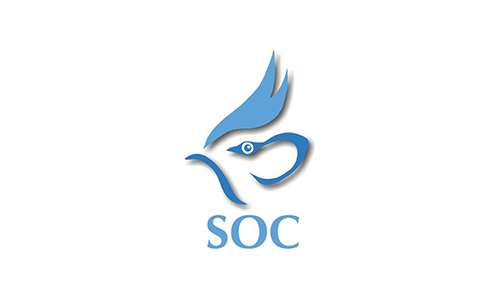 SOC logo